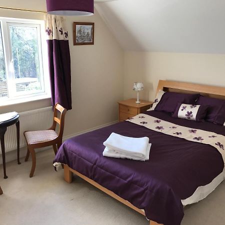 Bwthyn Rhosyn Bed and Breakfast Llannon Esterno foto